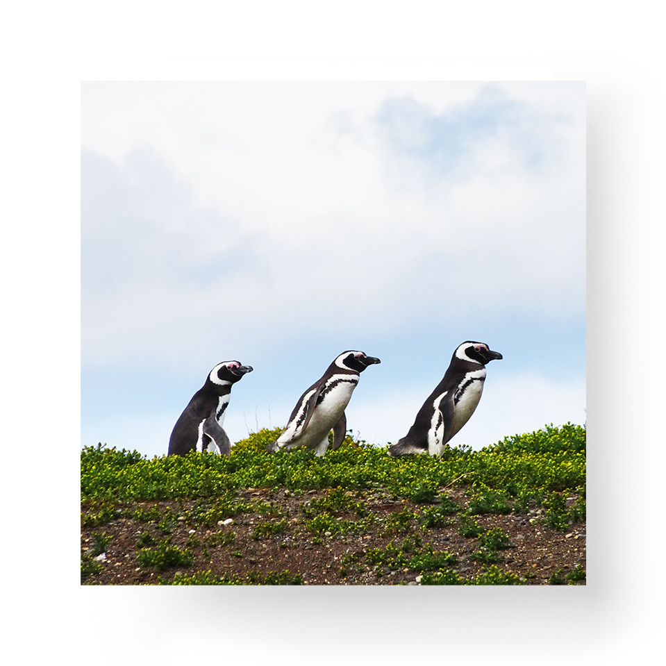 Merveilles de la nature en Amérique du Sud